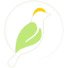 Bâtisserin Concept